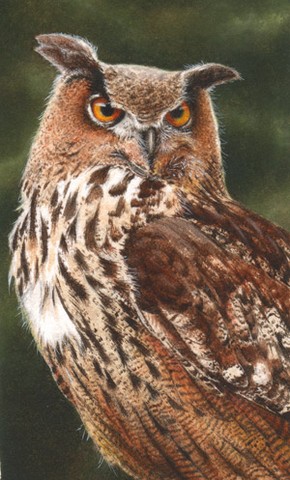 Eagle owl miniature painting by Tracy Hall