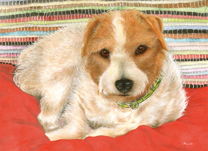 dog pet portrait in watercolour by animal artist Tracy Hall