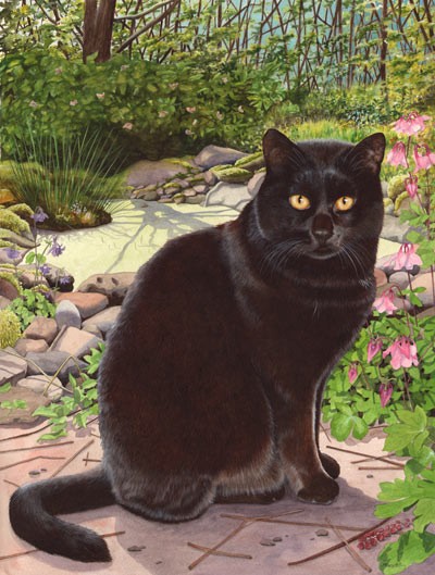 black cat watercolour painting pet portrait by tracy hall
