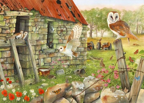 barn owl painting by tracy hall