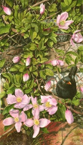 blackbird miniature painting