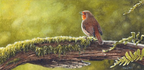 robin miniature painting
