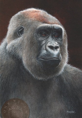 gorilla miniature painting by tracy hall