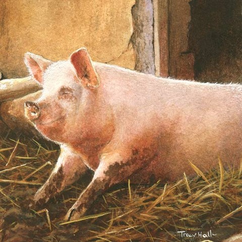 pig miiature painting