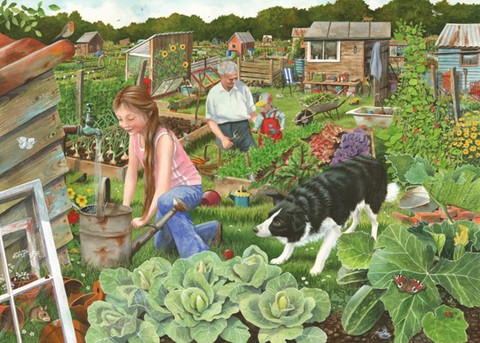 allotment painting of garden by watercolour artist tracy hall