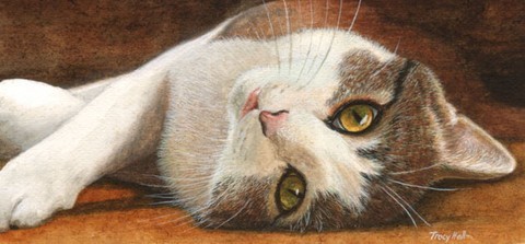 CAT MINIATURE PAINTING