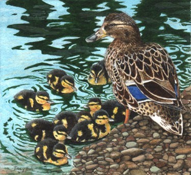 mallard ducks miniature painting