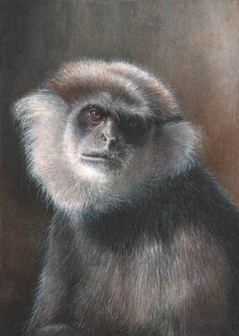 monkey miniature painting 