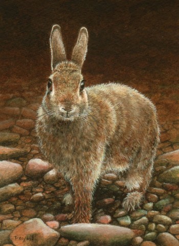 Rabbit miniature painting by Tracy Hall