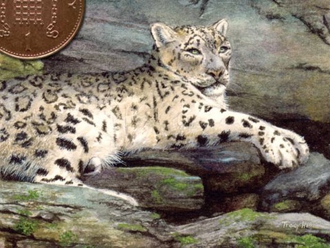 snow leopard miniature painting