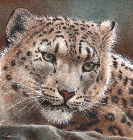 snow leopard miniature