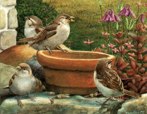 sparrows miniature painting by tracy hall
