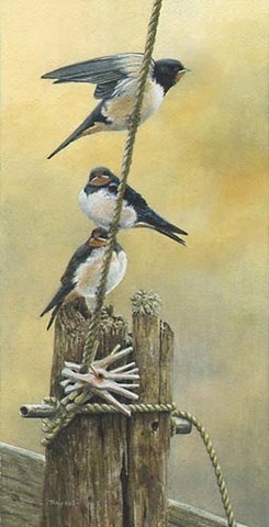 swallow miniature painting