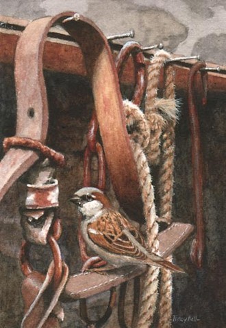 house sparrow miniature painting