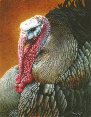 turkey miniature painting