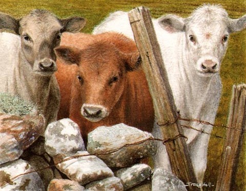cattle miniature painting