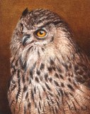 owl miniature painting