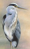 heron miniature painting