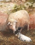 lambing shed miniature painting