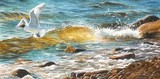 gulls miniature painting