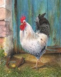 rooster miniature painting