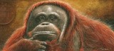 orangutan miniature painting