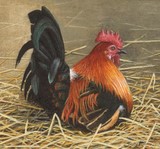 rooster miniature painting