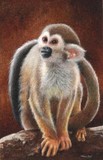 squirrel monkey miniature painting