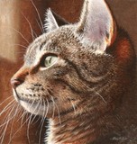 cat miniature painting